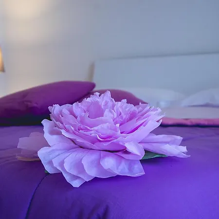 Bed and breakfast A Casa Di Amici Caserta